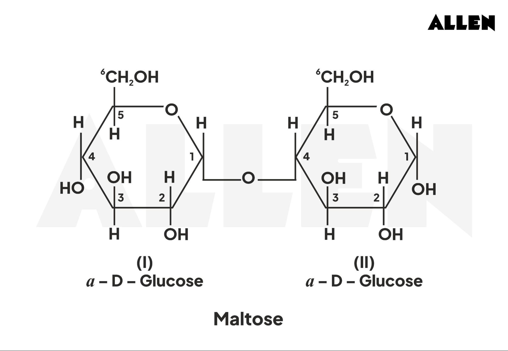 Structure of Maltose