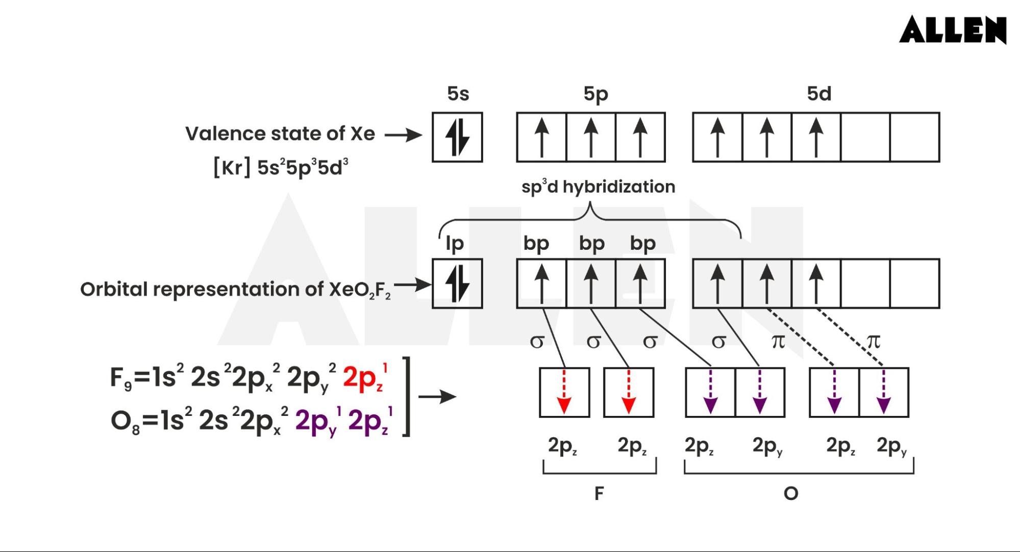 Hybridization of Xenon