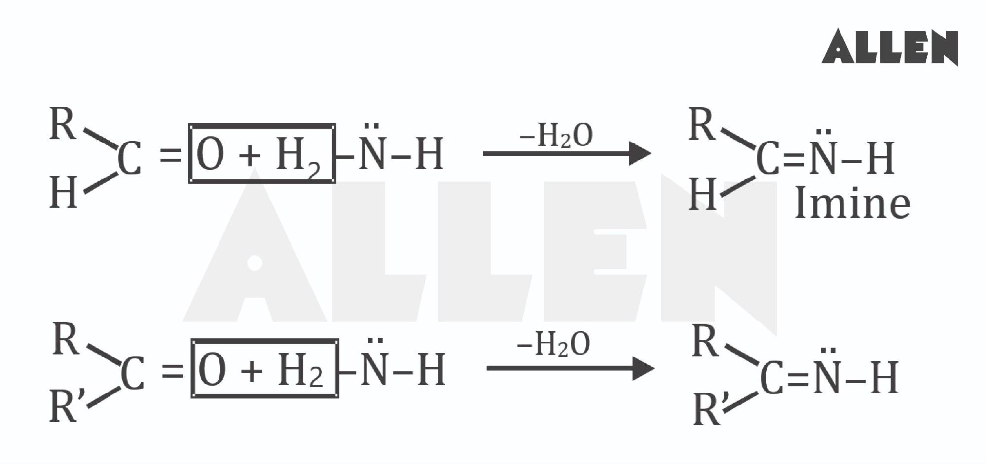  Imine and Oxime