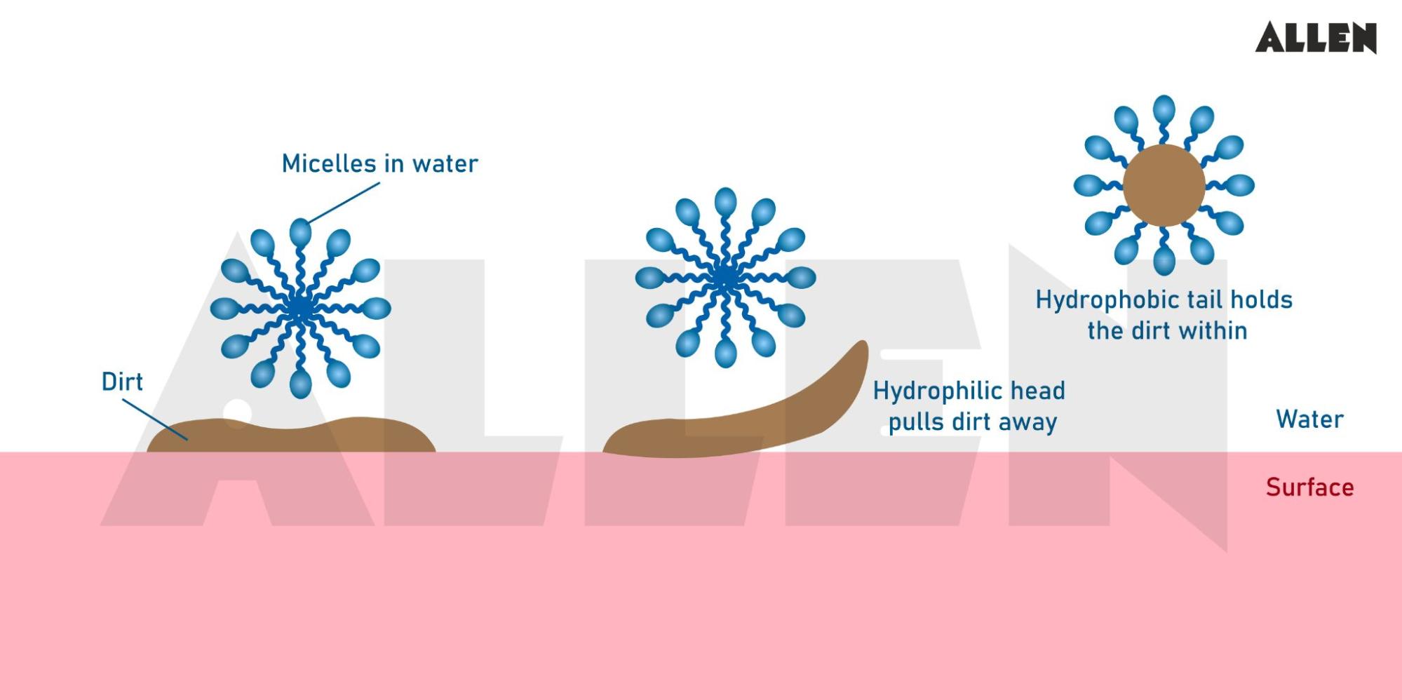 Mechanism of soap removing the oil