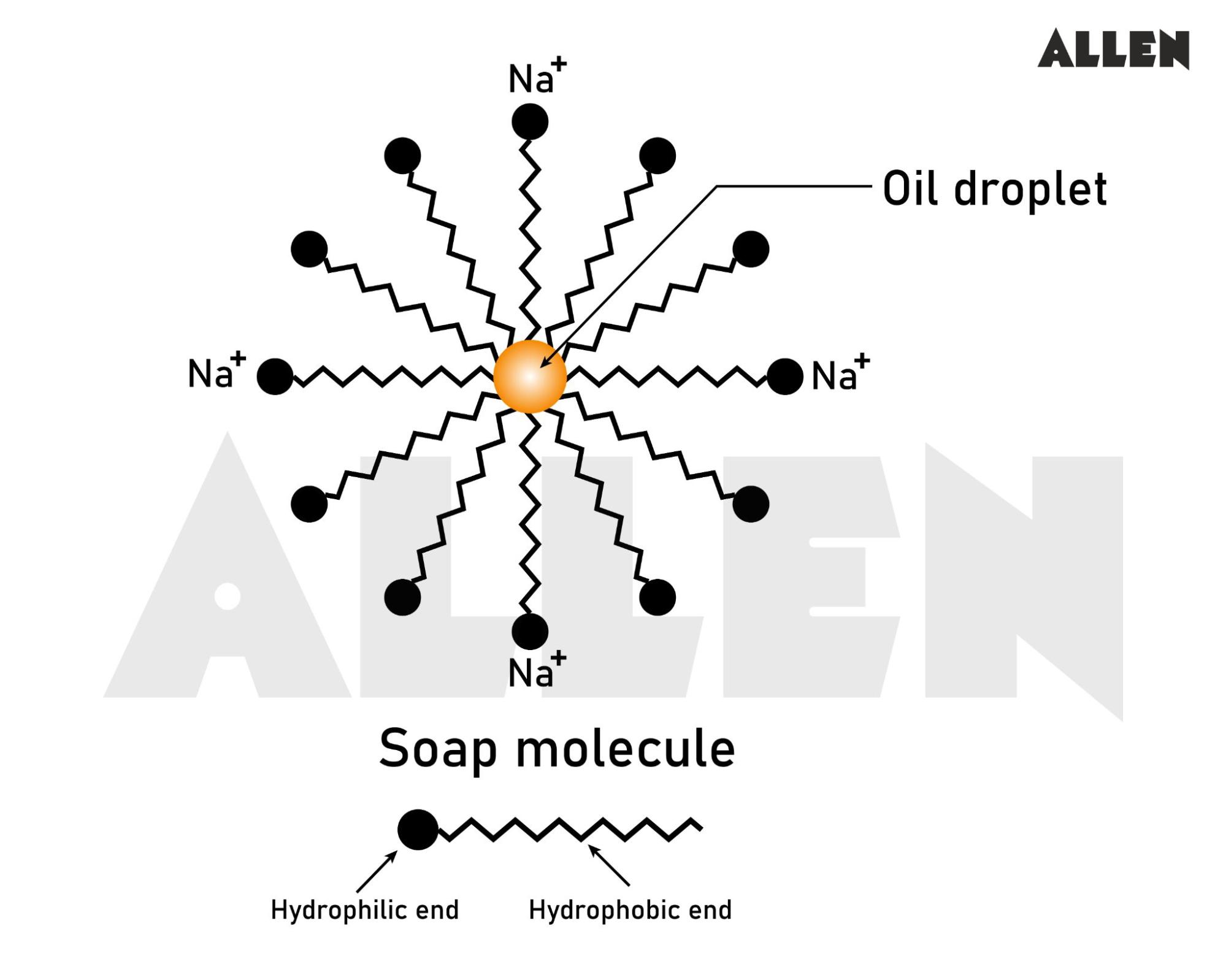 Soap's Orientation in Water