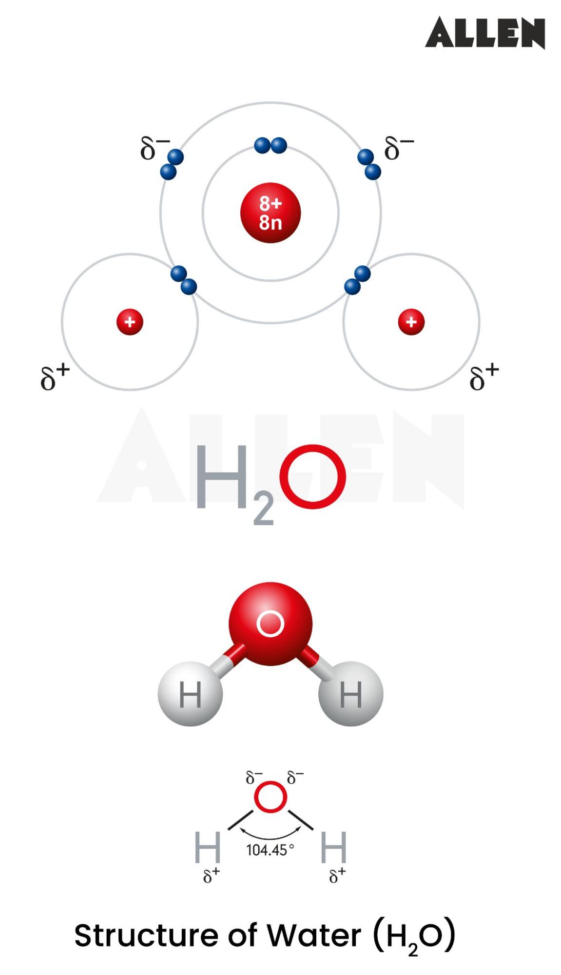 Structure of Water