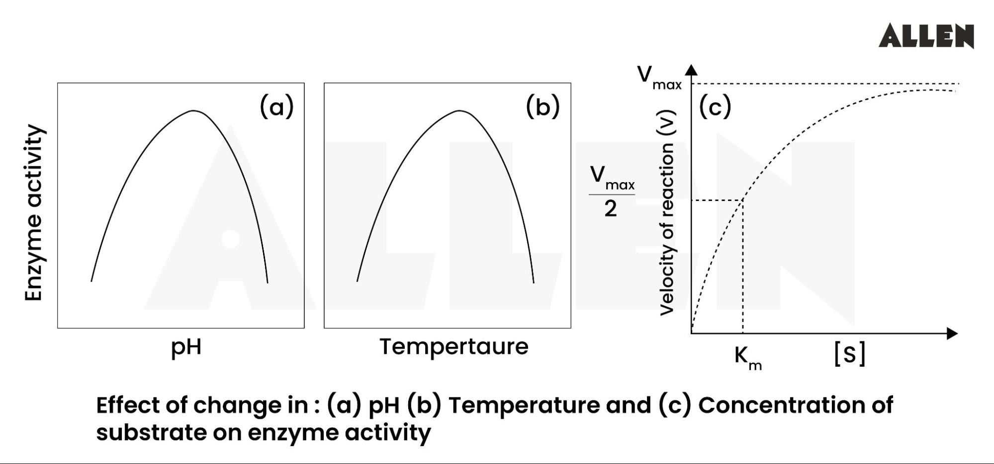 Substrate Concentration