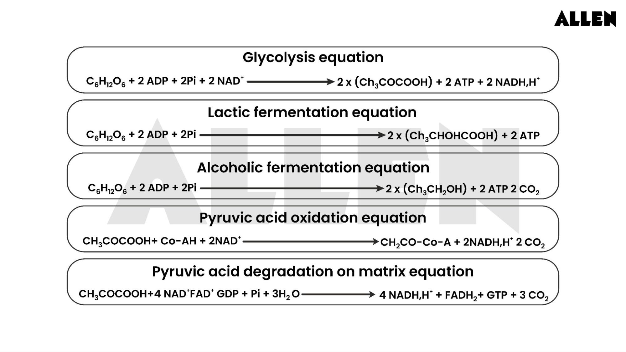Alcoholic fermentation - Equation