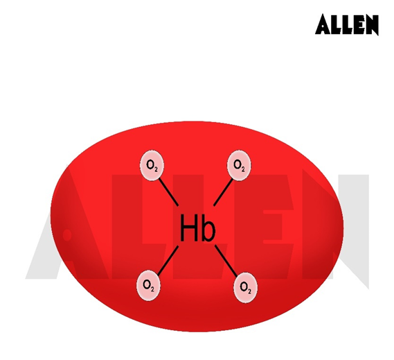 Haemoglobin