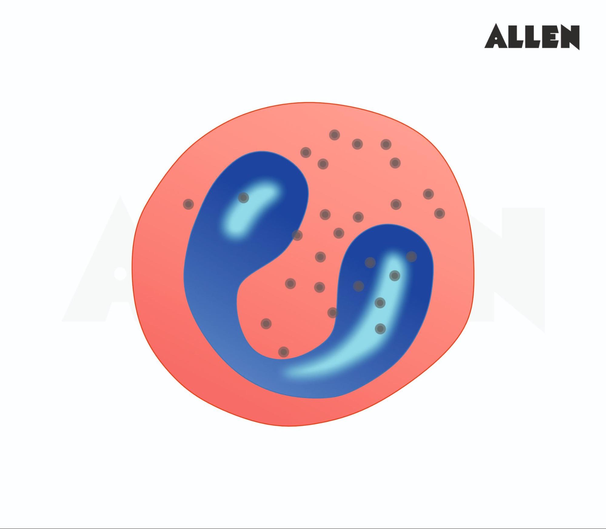 Eosinophils