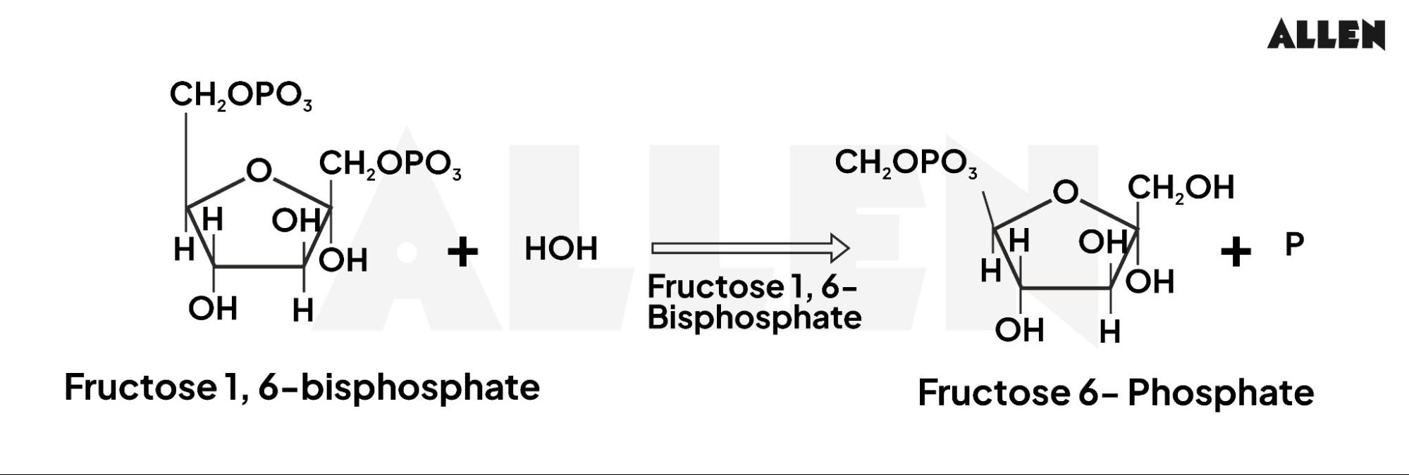 Conversion of fructose