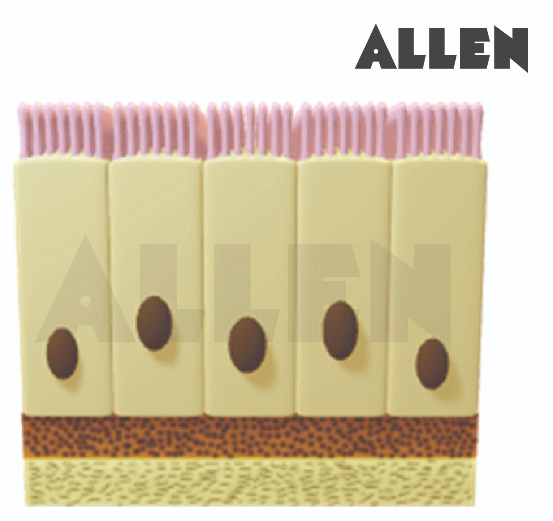 Brush Border Columnar epithelium