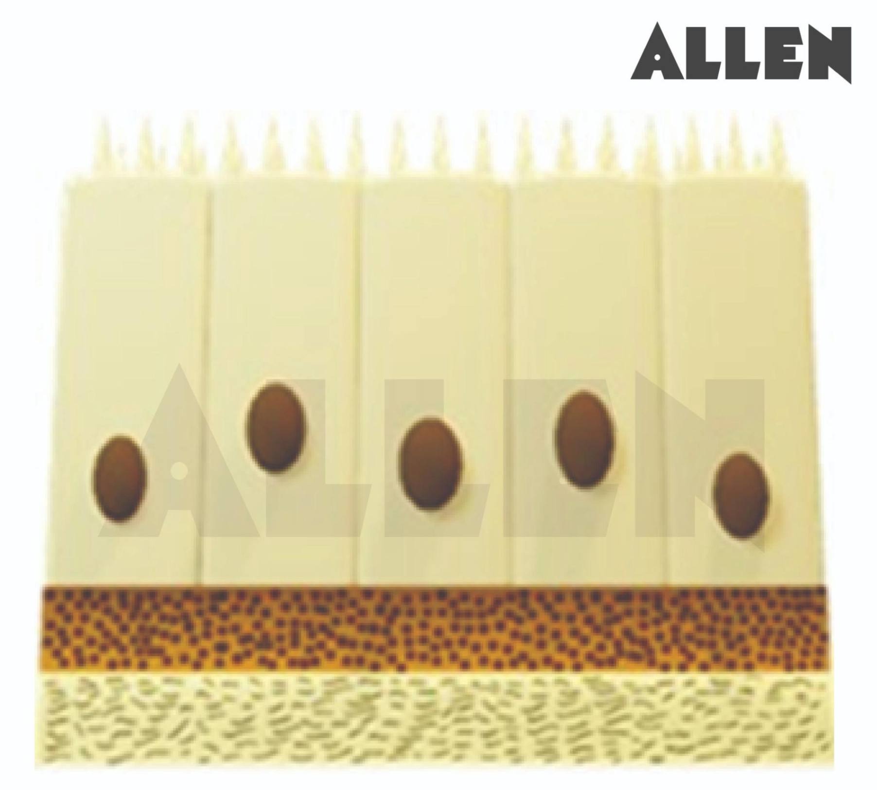 Simple columnar stereo ciliated epithelium
