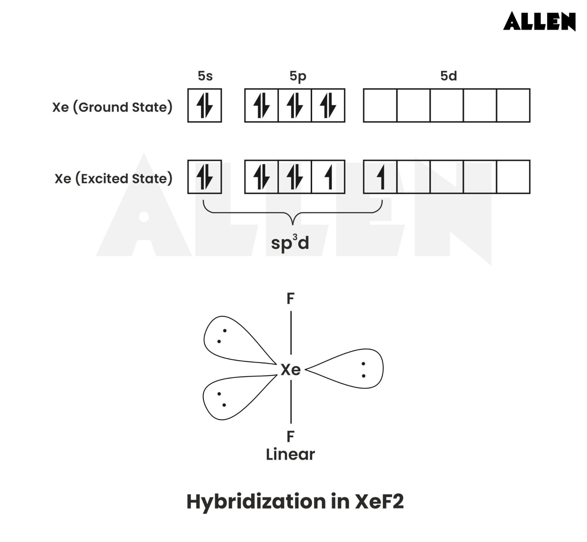 Hybridization of xef2