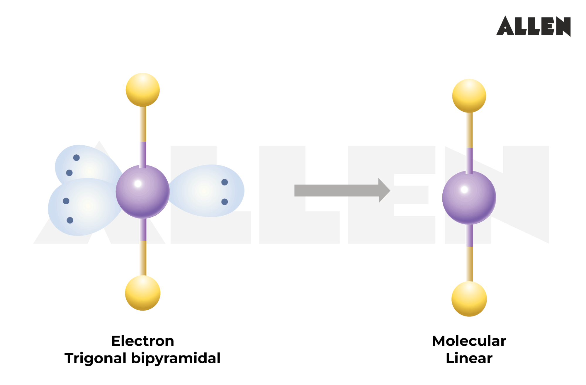 Molecular Geometry of xef2