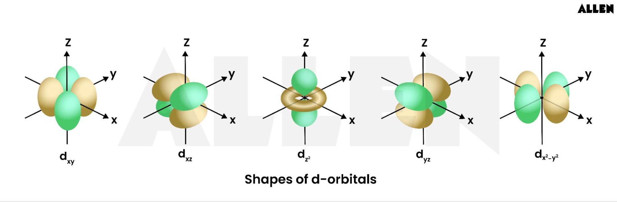 Shape of d-orbitals