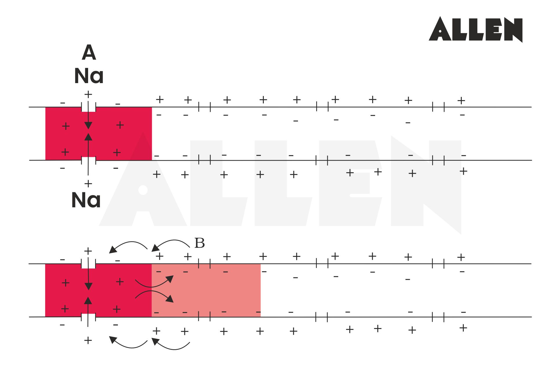 Image showing the peak of action potential