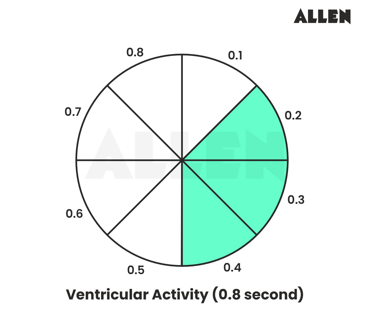 Ventricular activity of the cardiac cycle