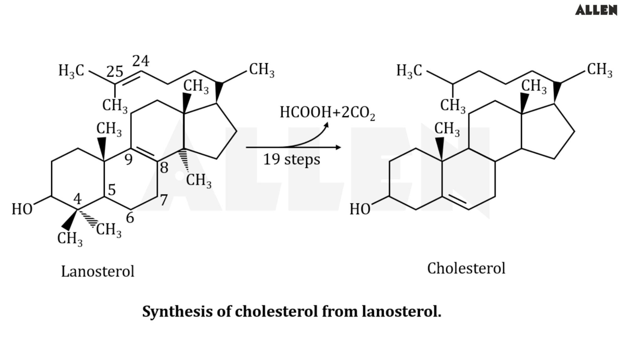 Synthesis of cholesterol from lanosterol