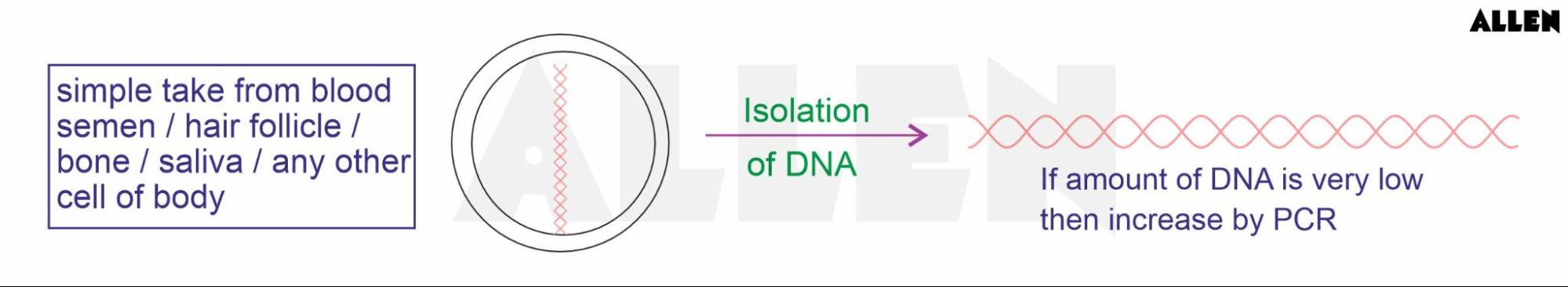 DNA Extraction