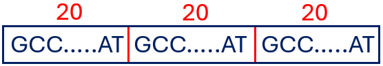 Minisatellite of a DNA sequence