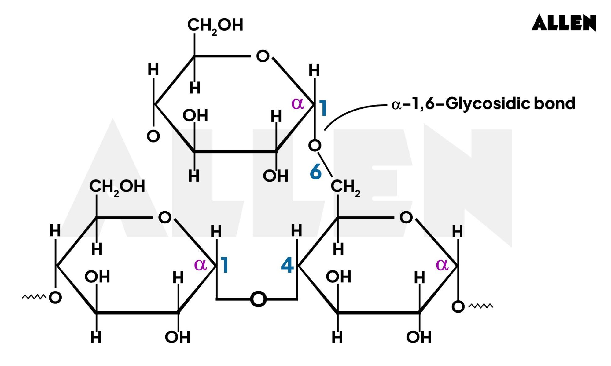 Image showing the structure of Glycogen