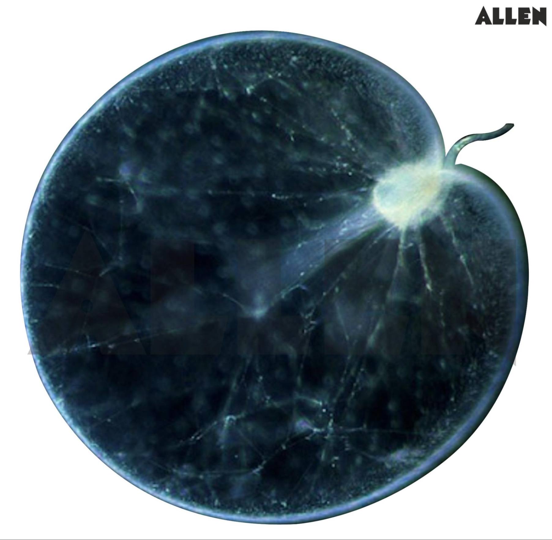 Bioluminescent Dinoflagellate