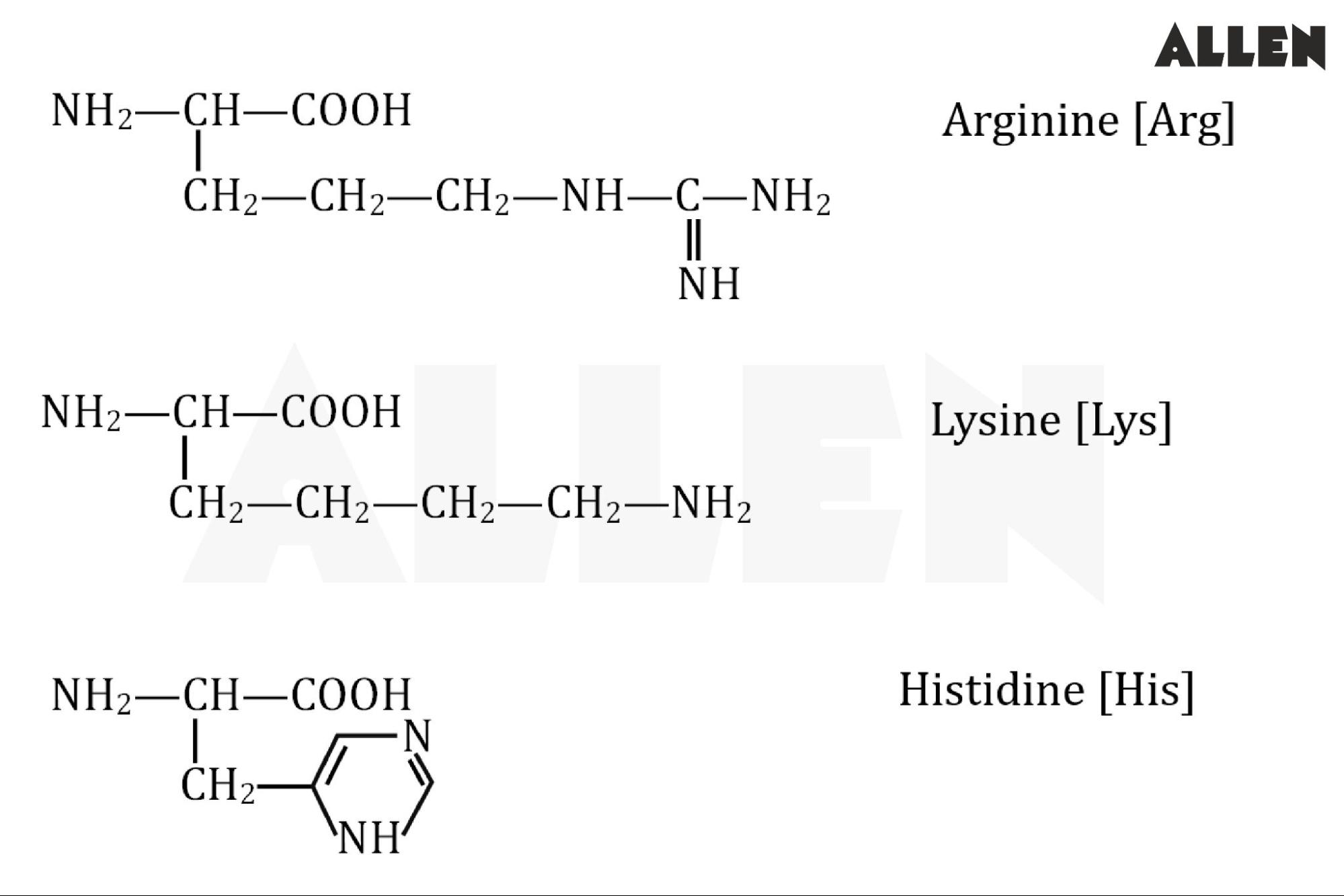 Examples of Basic Amino Acids