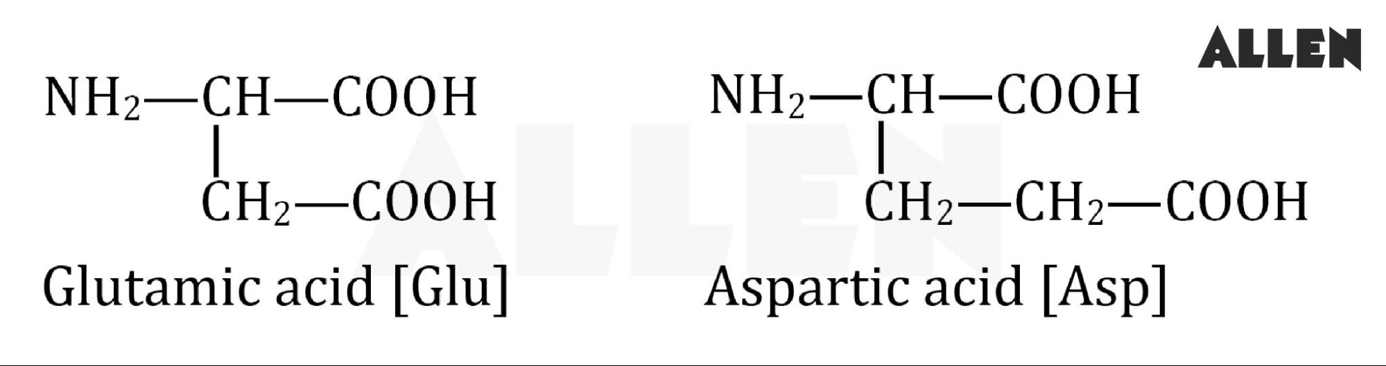 Examples of acidic amino acids