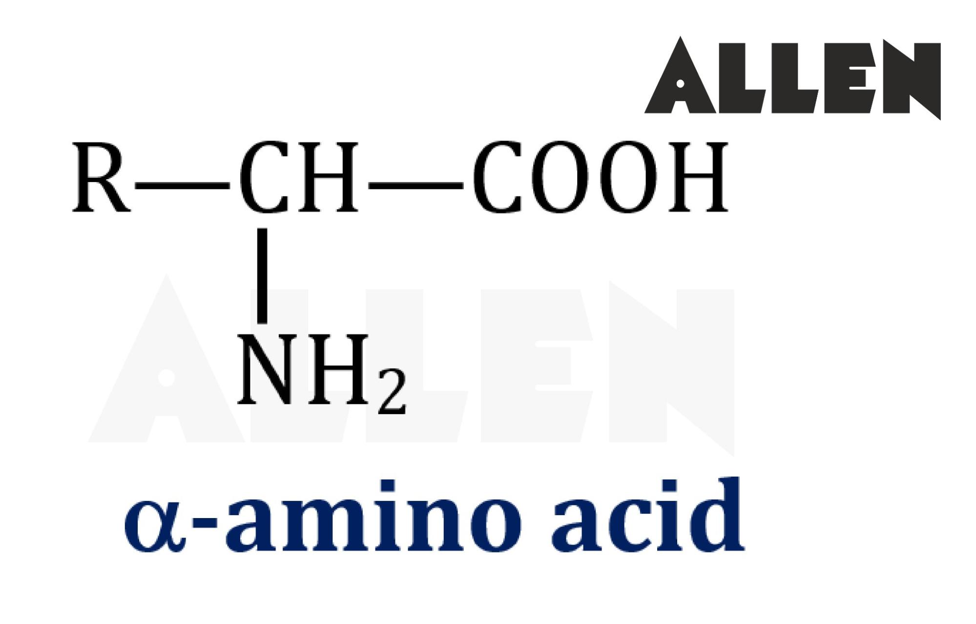 Alpha Amino Acid