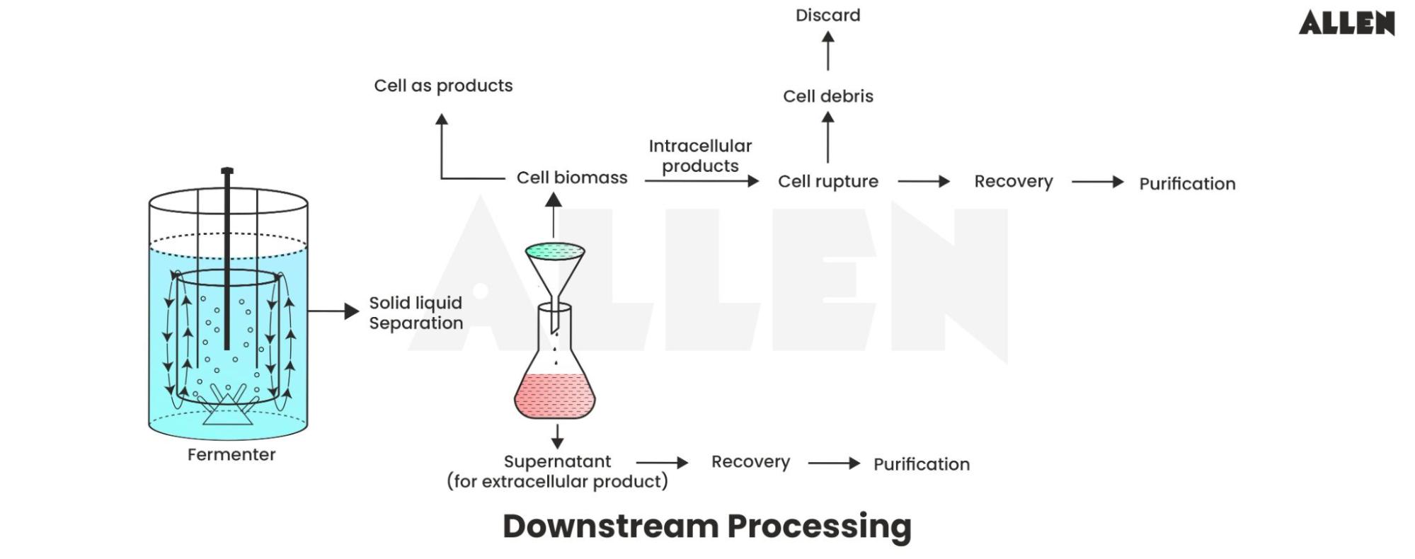 Image showing downstream processing