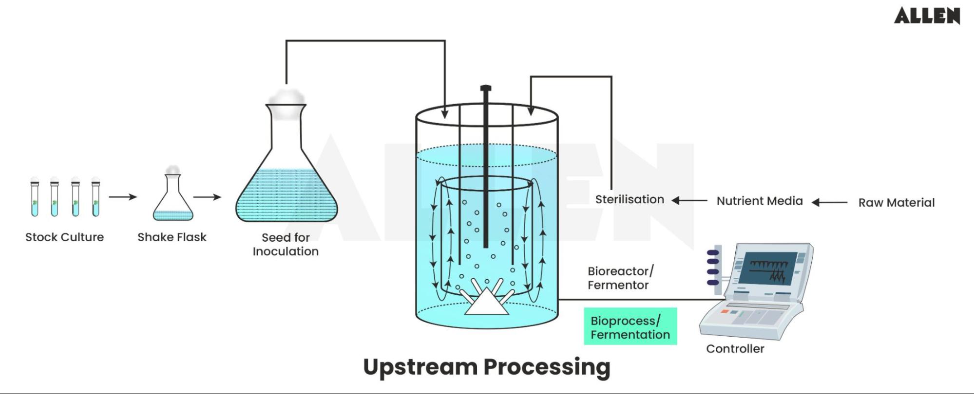 Upstream processing