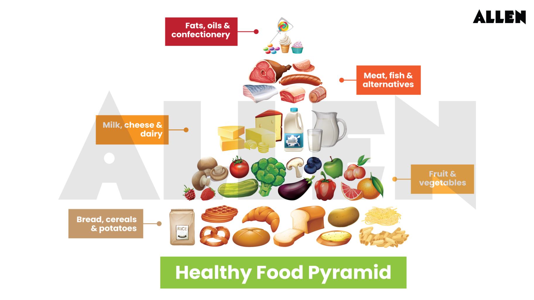 CBSE Notes for Class 6 Science Chapter 1 – Components of Food