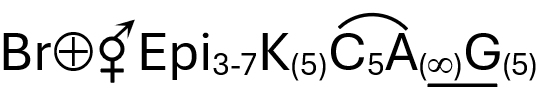 Floral formula of Hibiscus