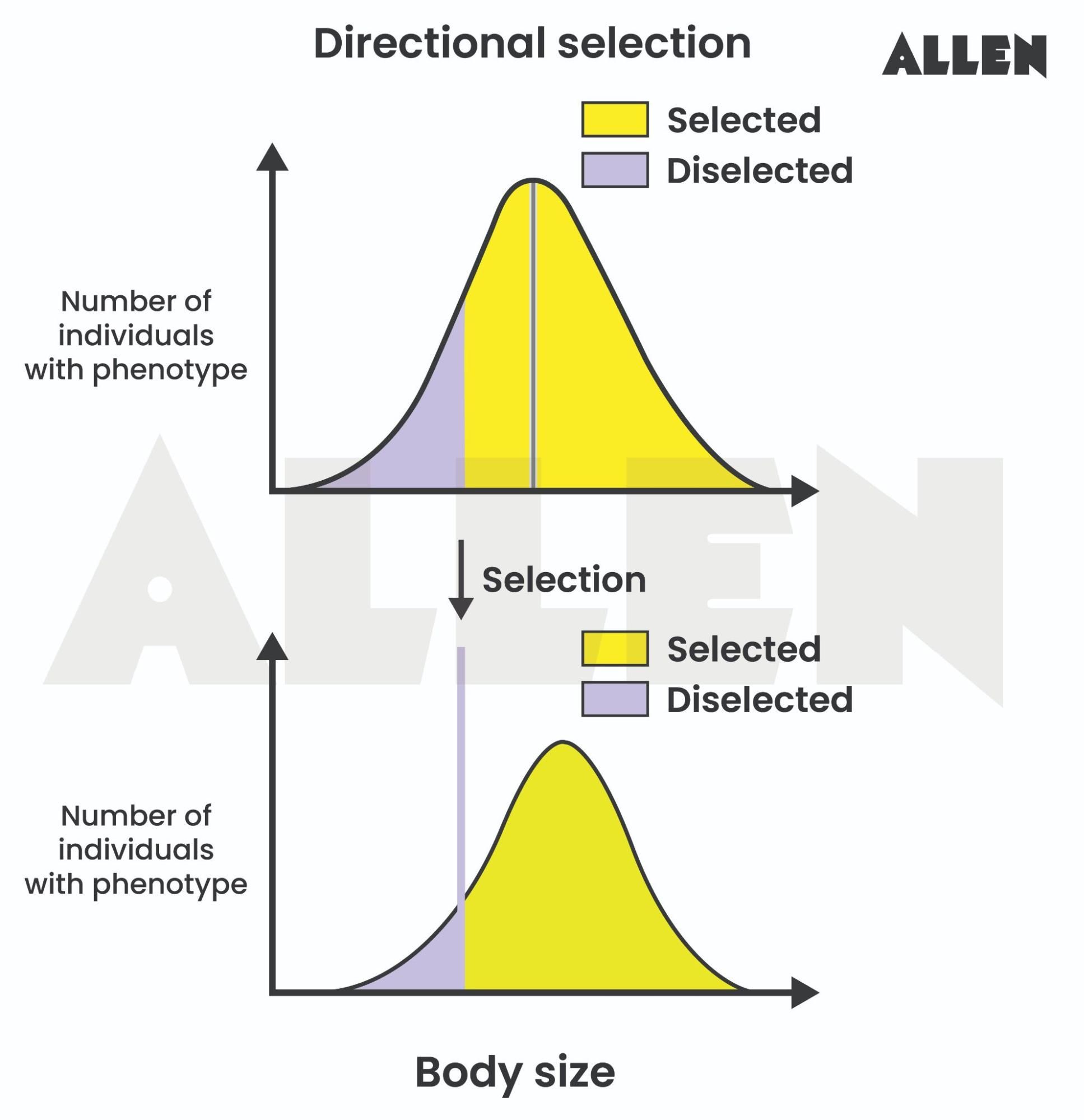 Image showing the graph of directional selection