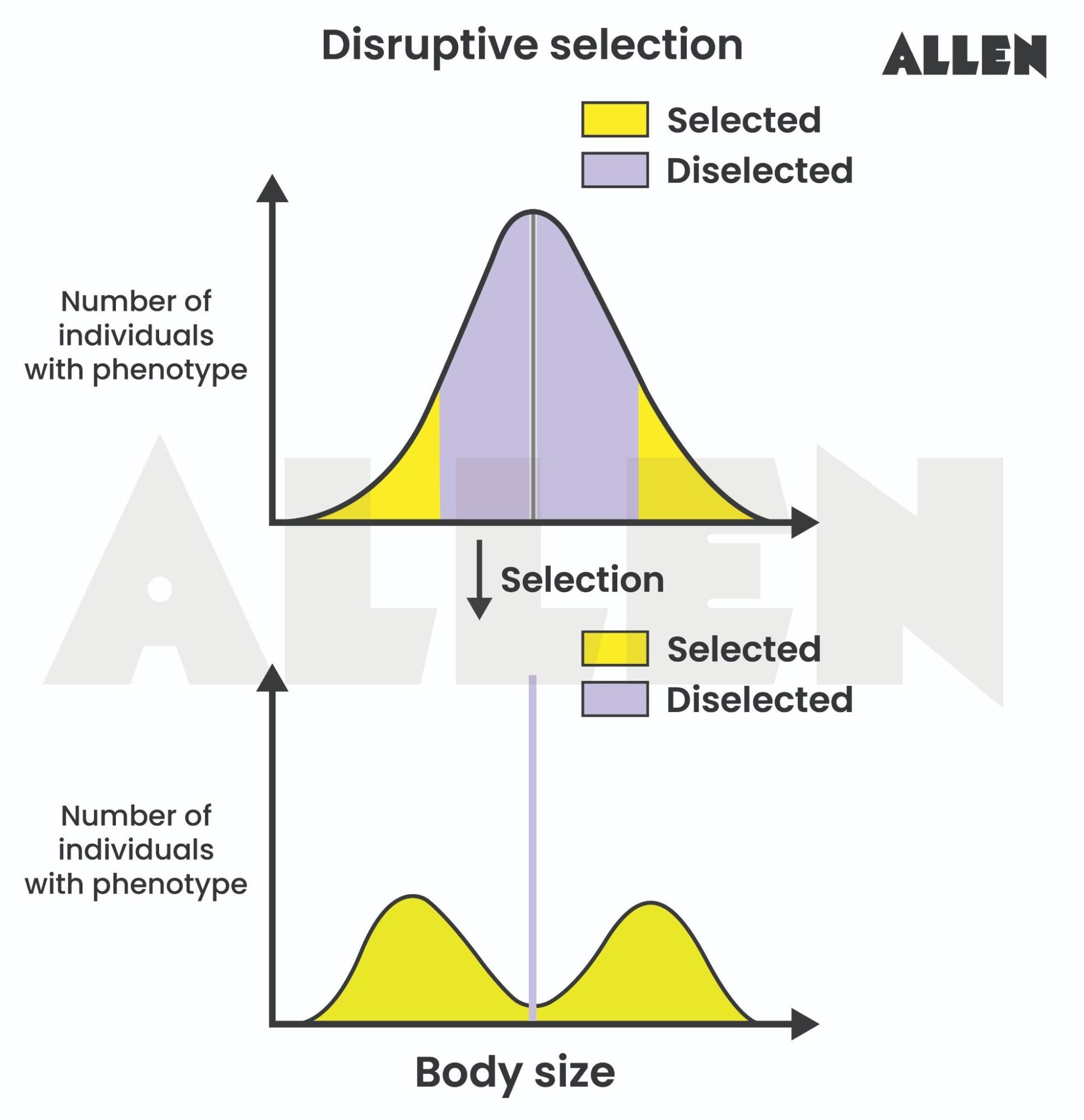 Image showing the graph of disruptive selection