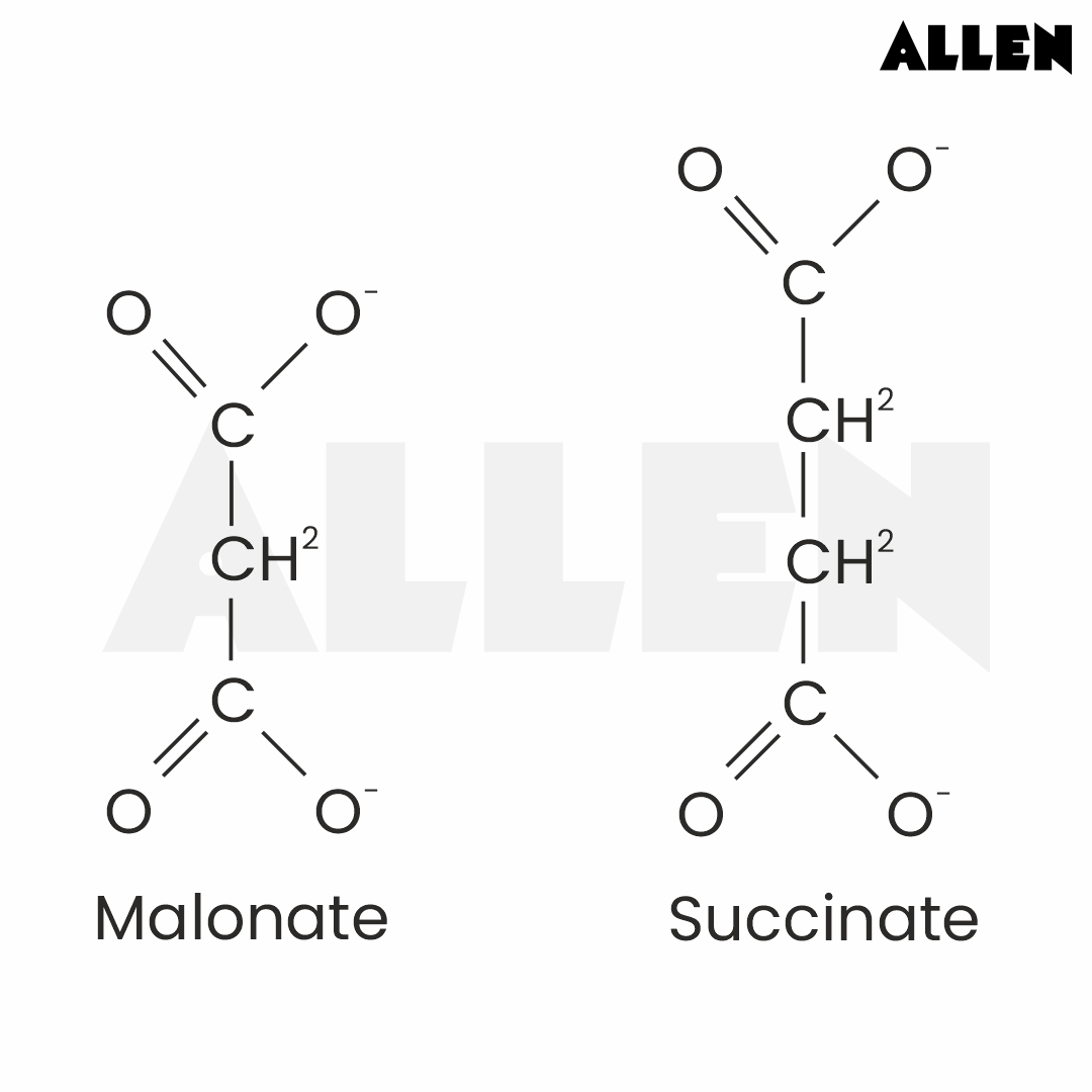 Malonate and Succinate