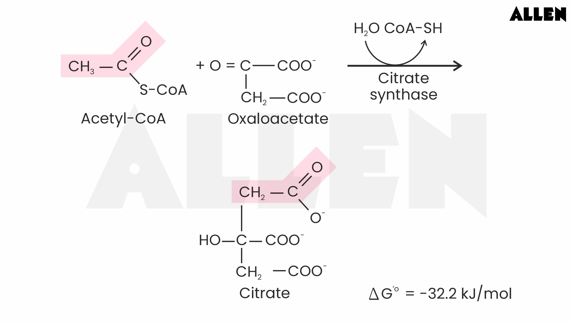 Krebs cycle -  Formation of Citrate