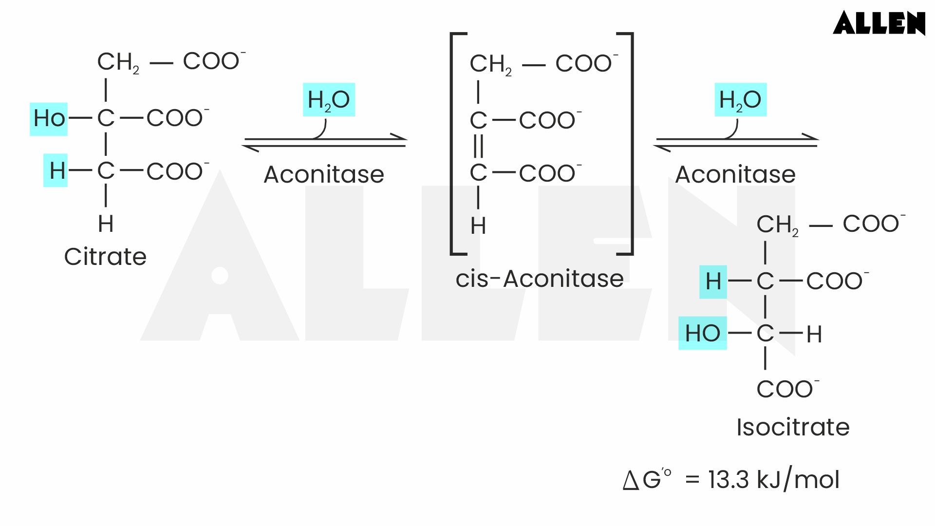KREBS CYCLE-Formation of Isocitrate via cis-Aconitate