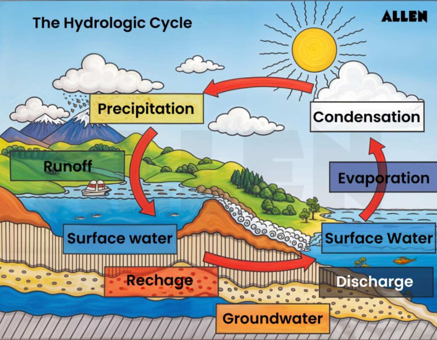Water cycle