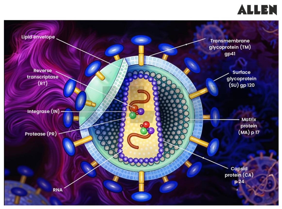 HIV Virus Pathogenesis Diagnosis And Treatment
