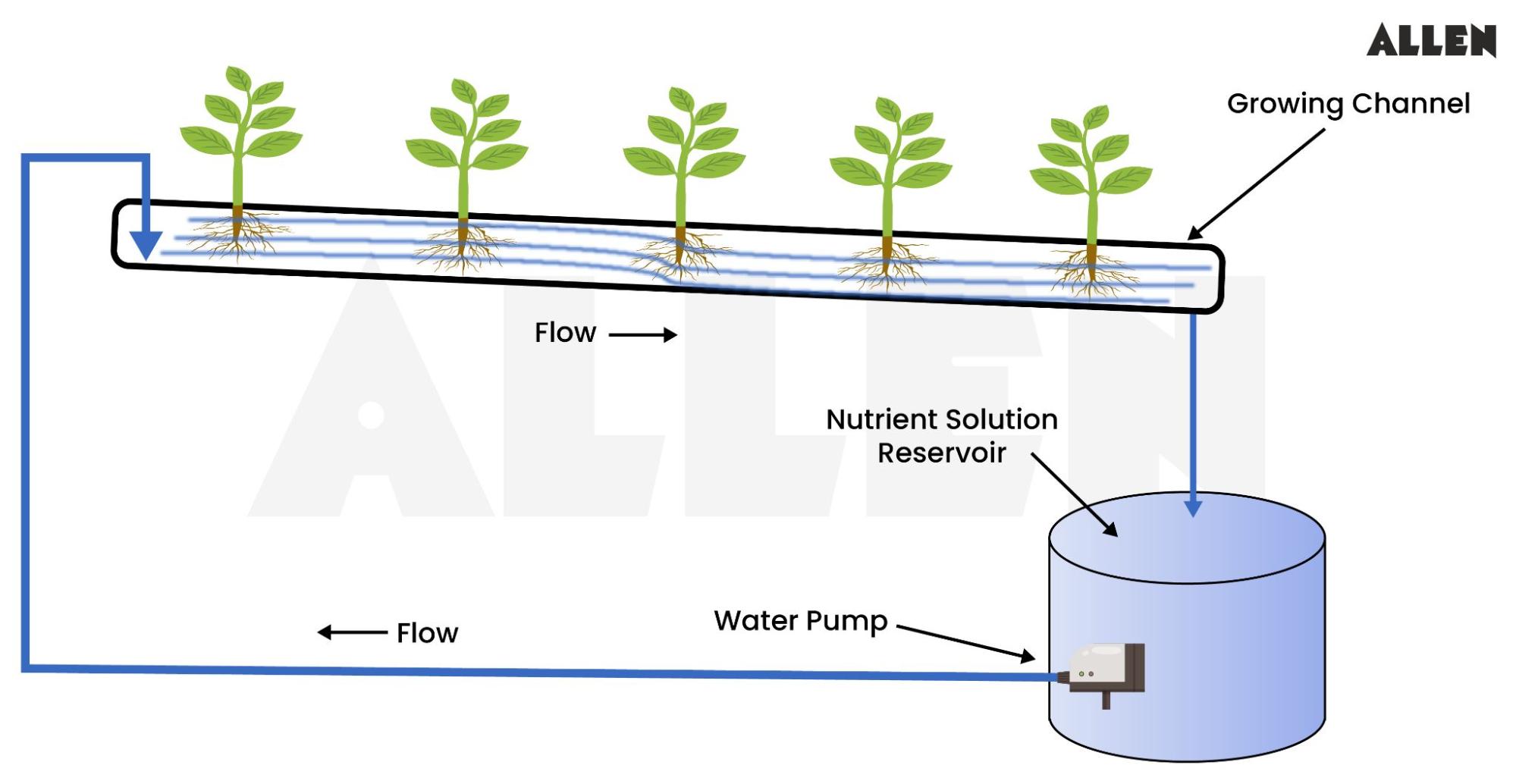 Nutrient Film Technique