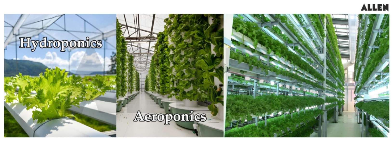 Aeroponics