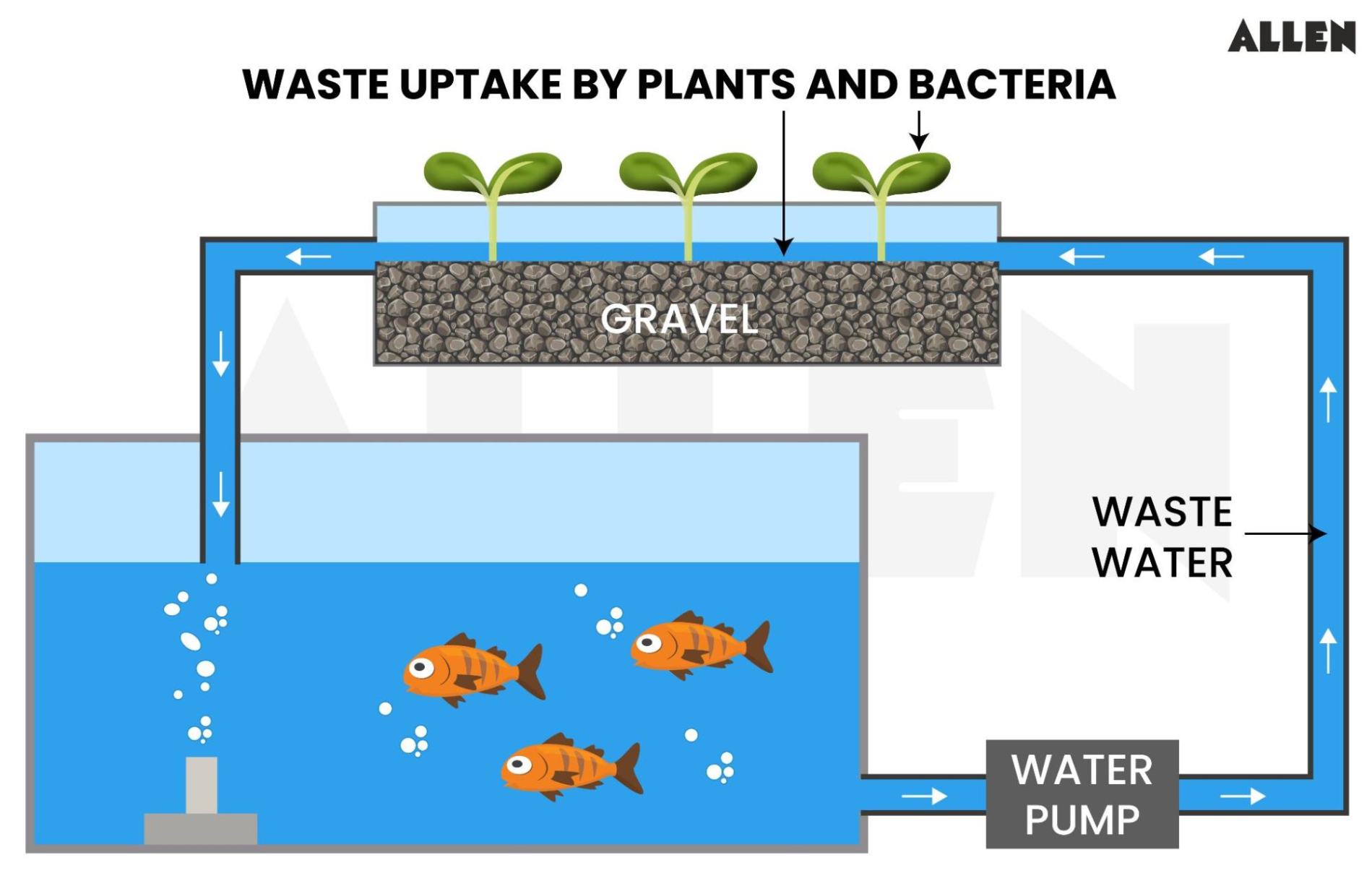 Aquaponics