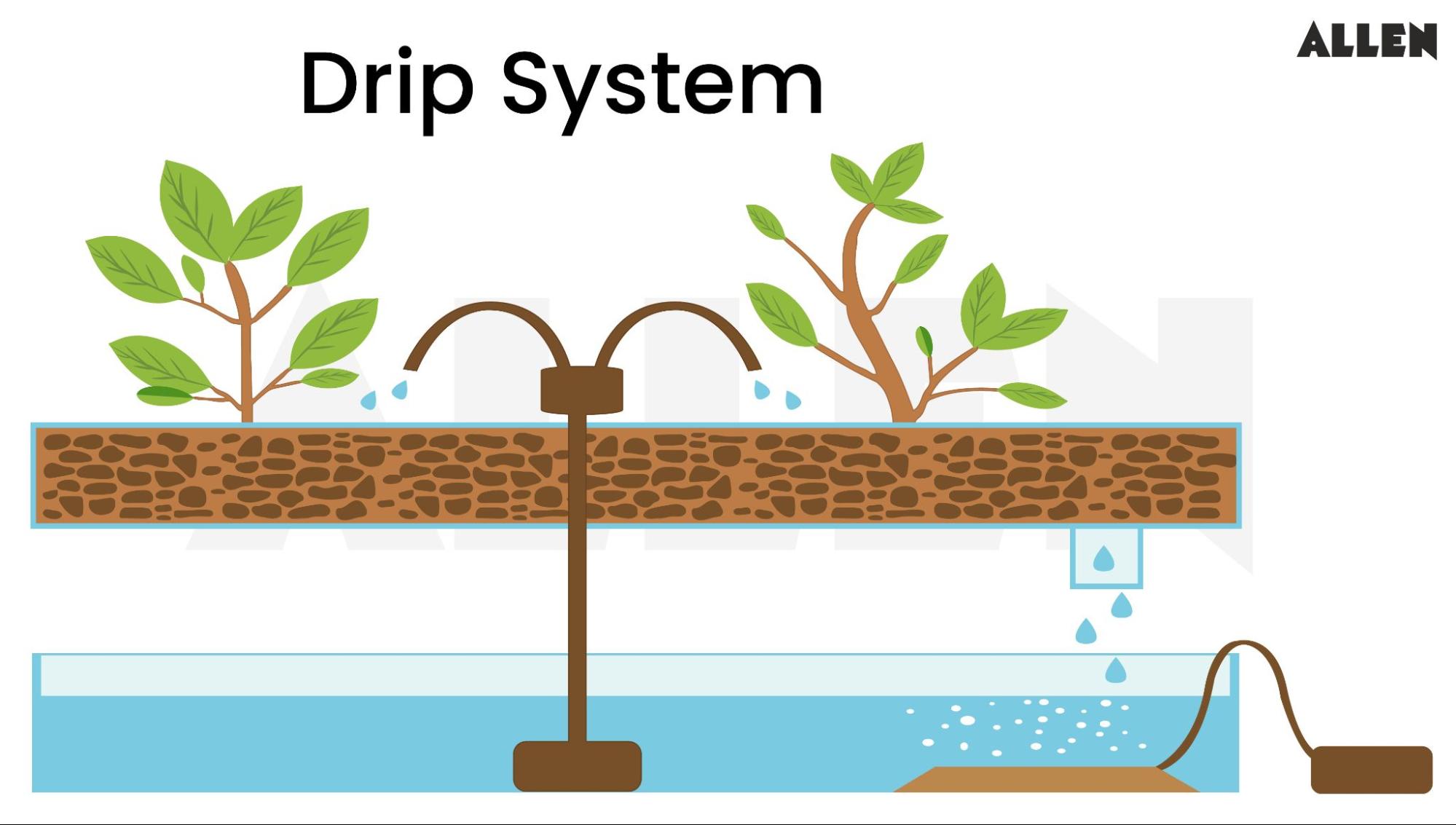 Drip System