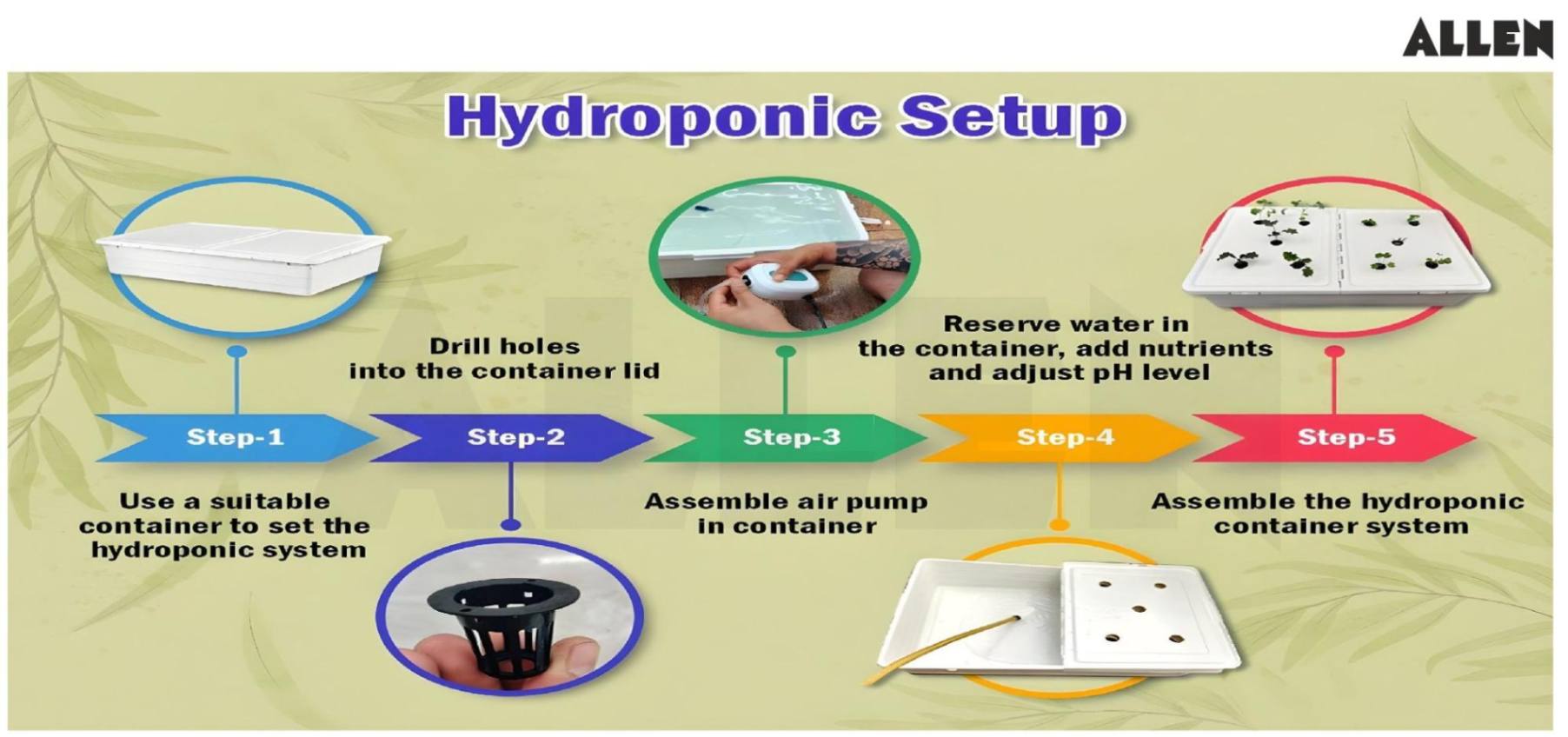Hydroponics system Setup