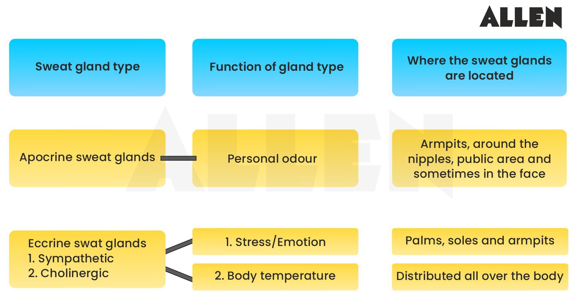 Functions of sweat glands