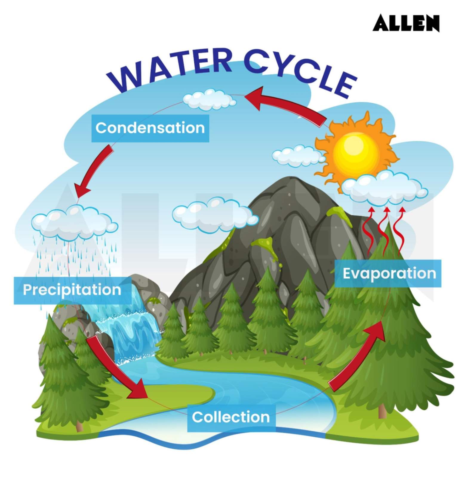 Water Cycle