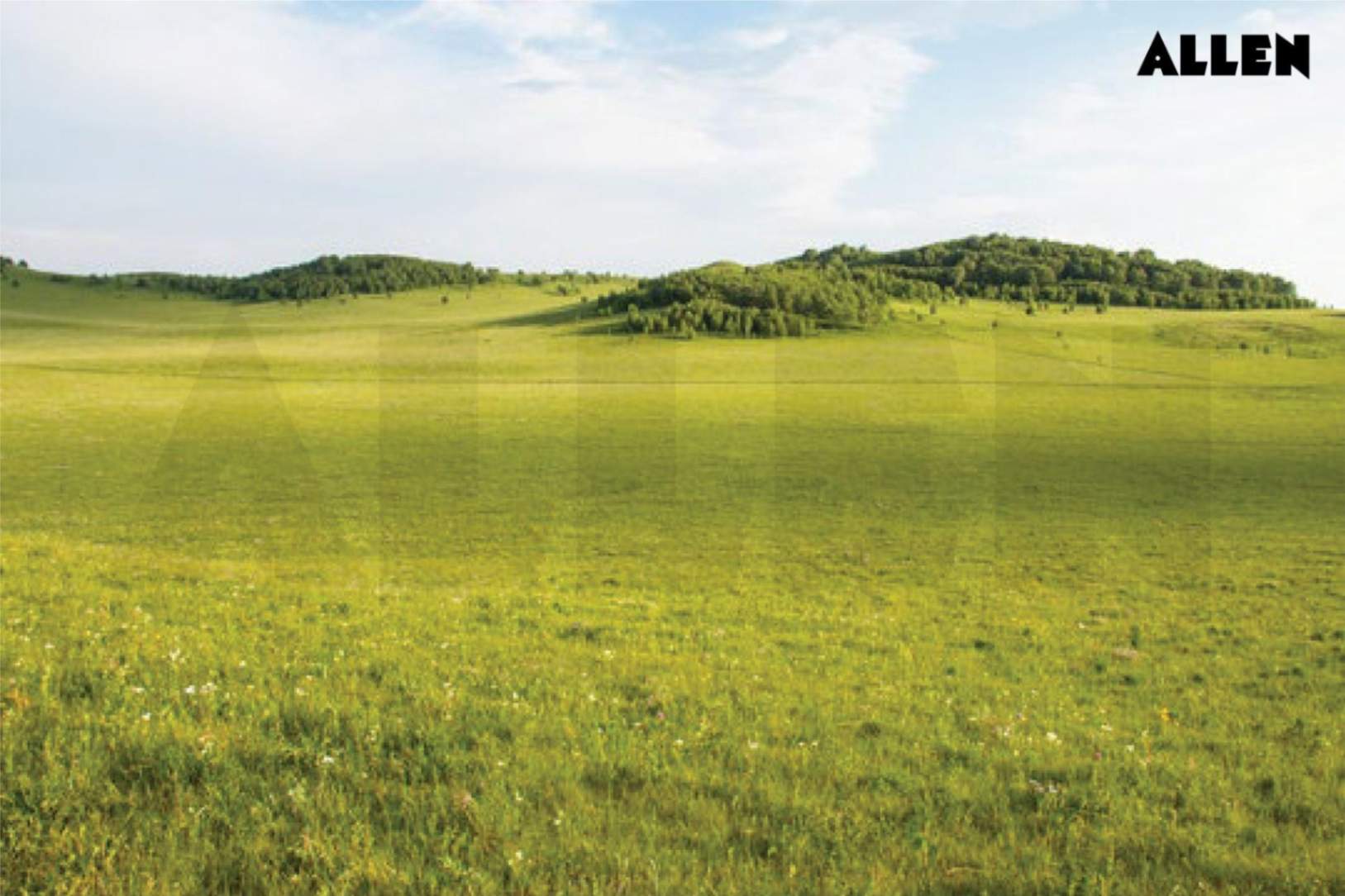 Grasslands
