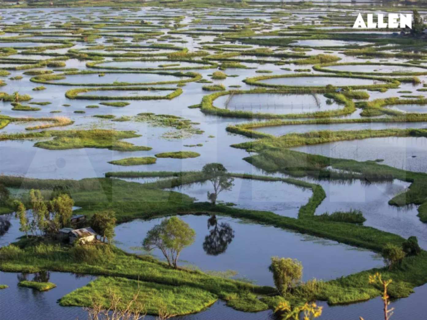 Wetlands