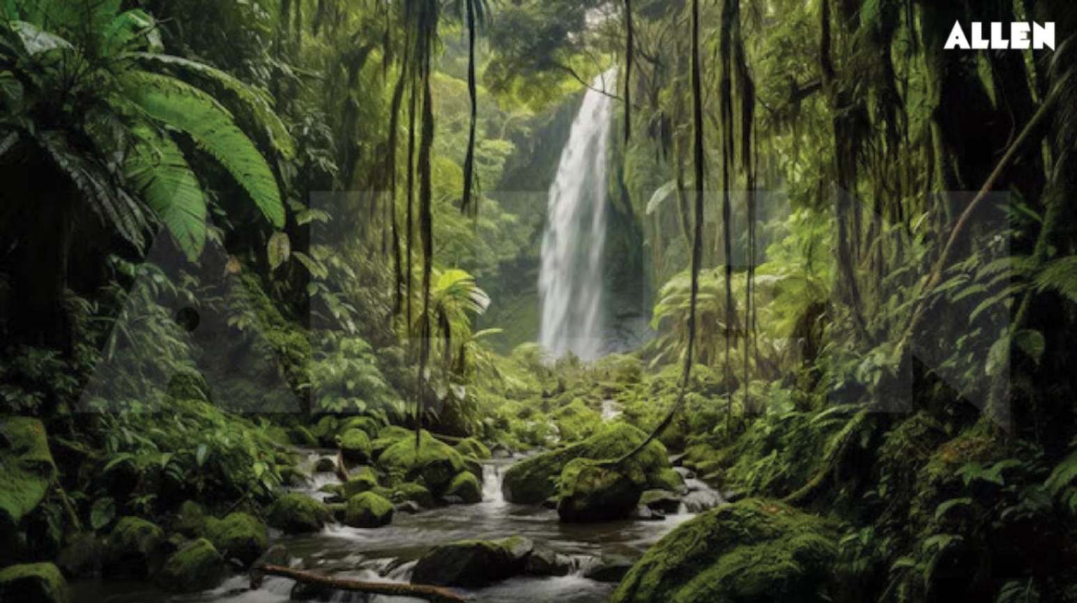 Tropical Rainforests