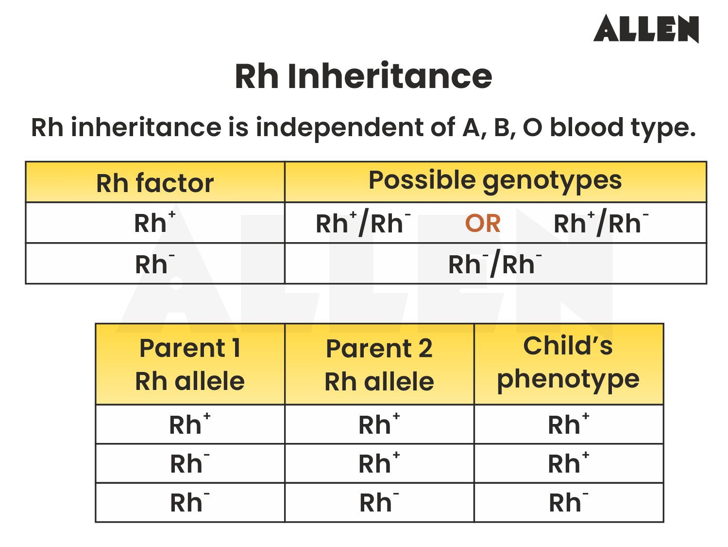 Rh Inheritance