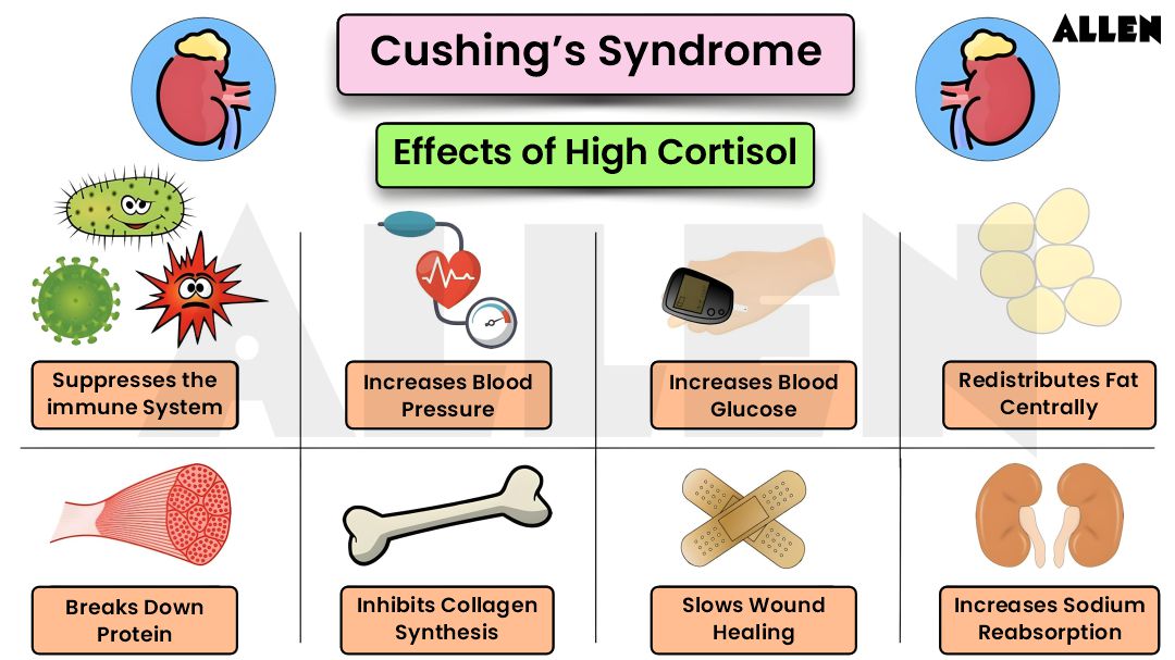 Cushings syndrome