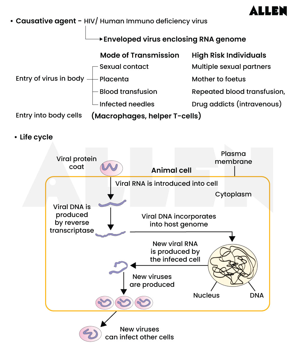 Mechanism of AIDS